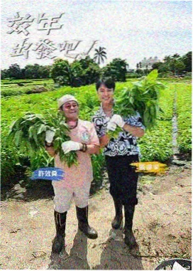 山野生存周记 户外真人秀在线观看封面